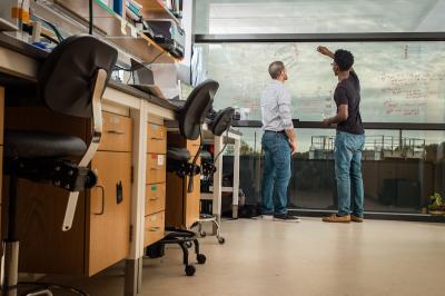 students in lab setting